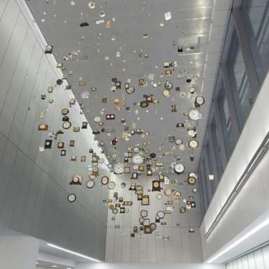arbor_frombelow