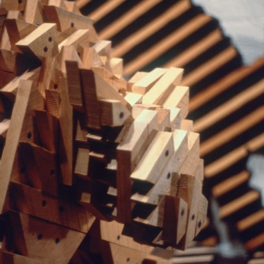 1981-cat-detail