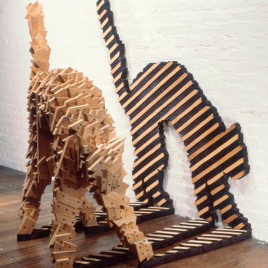1981-cat