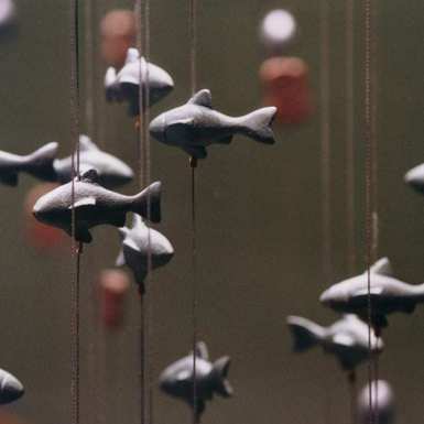 gw_detail_fish