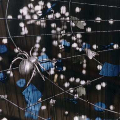 gw_detail_spider