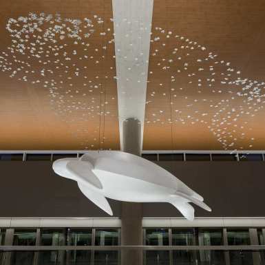 06-side-view_night_no-screen-8743-1